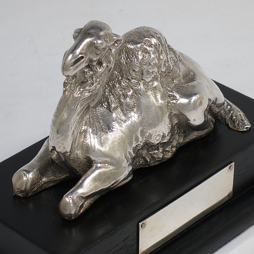 A very unusual and handsome Antique Victorian Sterling Silver pair of cast camels, attached to rectangular stepped plinths with silver inscription panels, and with finely detailed hand-chased bodies in sitting position. Made for the Grocers Guild by Alexander MacRae of London in ca. 1880. The dimensions of these fine hand-made sterling silver camels on plinths are length 13.5 cms (5.3 inches), width 7.5 cms (3 inches), and height 9 cms (3.5 inches).